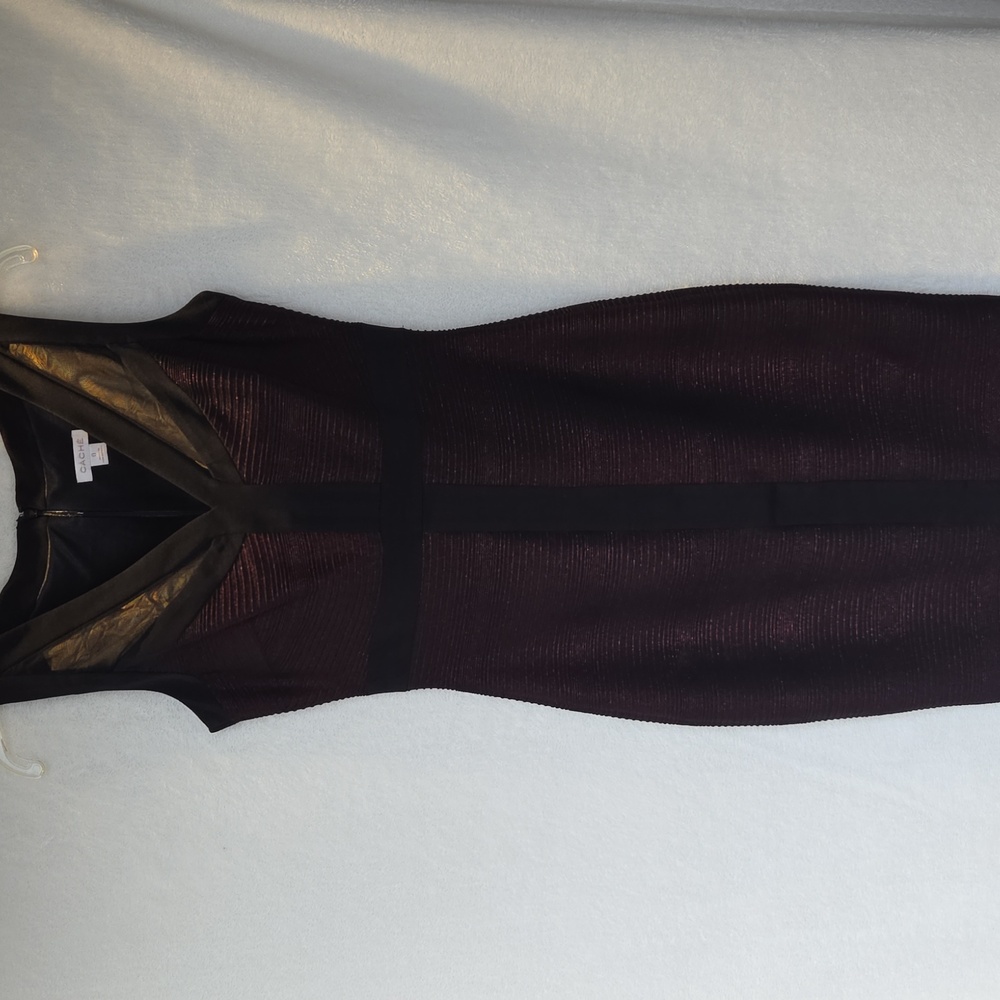 Cache Dress - Picture 8 of 13